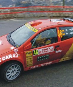 [CALCA] Fiat Punto S1600 #46 X. Pons Rally Monte Carlo 2004 (Ref. 048DECA32) 1:32 Kit Car 43