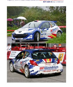 Alternative view of [CALCA ANEXO] Peugeot 207 S2000 #8 S. Vallejo Rally Príncipe Asturias 2008 (Ref. 215DECA43) 1:43 Kit Car 43