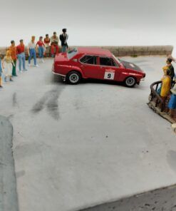 [DIORAMA] Tramo Chiusdino Rallye San Remo (30 x 25 x h:14 cms.)  1:43 Kit Car 43 - Image 6