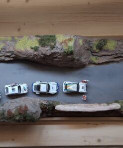 [DIORAMA] Tramo rallye asfalto (125 x 34 x h: 21 cms. / Con vitrina metacril.)  1:43 Kit Car 43 - Image 5
